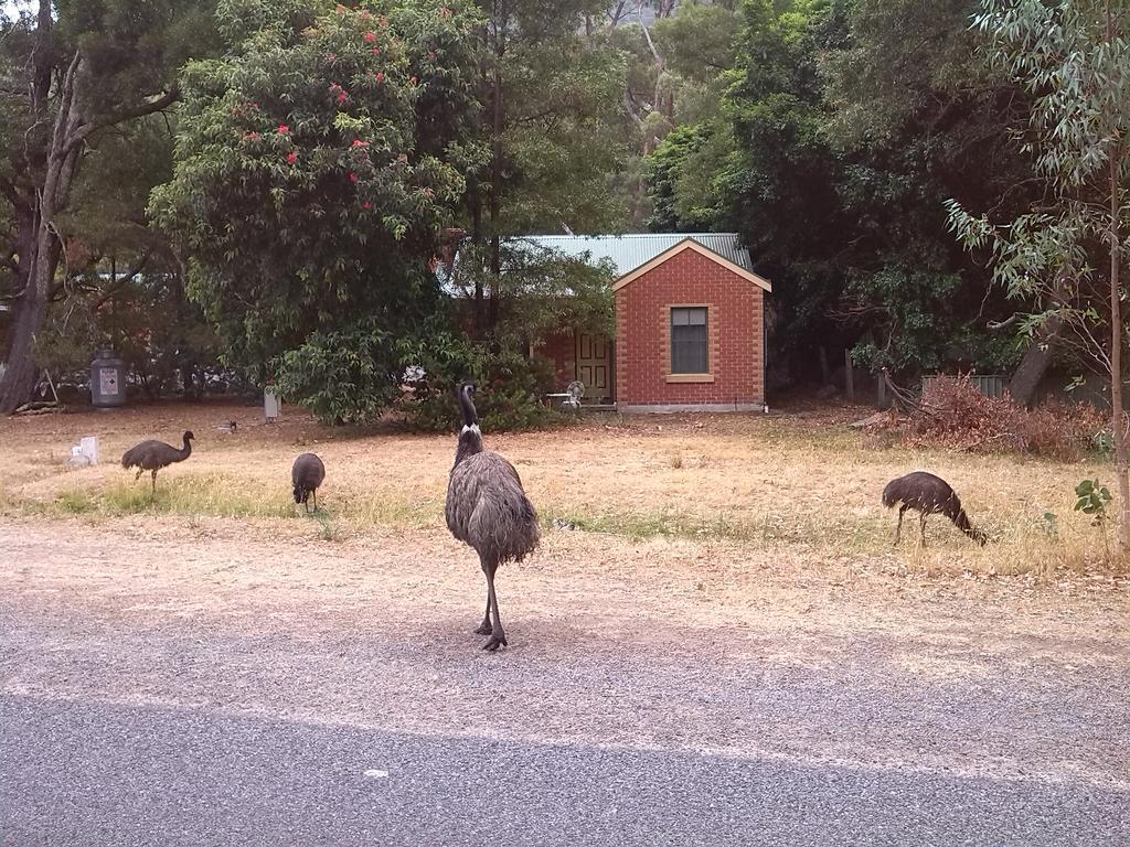 Heatherlie Cottages Halls Gap Exterior photo
